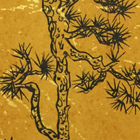 古松吟风五针松